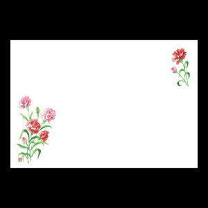 e[u}bgځ466@J[l[V@܁i100j