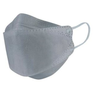 yP[X̔z2875-G@ ̃T[WJ}XN O[i1P[X/40×24j