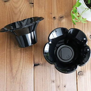 yP[X̔zXJbv ~jt[ l[] (1P[X/800)80×10