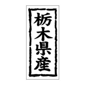 NxiV[jYnV[@K|1008@Ȗ،Yi1/1000j45×20mm