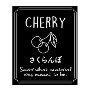 eCXeBV[@ځi1/200)@25×30MM