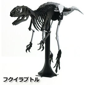 発掘 シリーズフクイラプトル日本の恐竜　特大 模型　1400mm