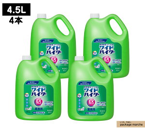 y4z ԉ ChnC^[EXp[ 4.5L Ɩp ܂ł͗ȂEL