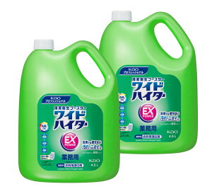 y2z ԉ ChnC^[EXp[ 4.5L Ɩp ܂ł͗ȂEL