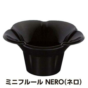 y80z~jt[Jbv NEROilj XJbv  Ɩp ĝ e@i{̂̂݁j80