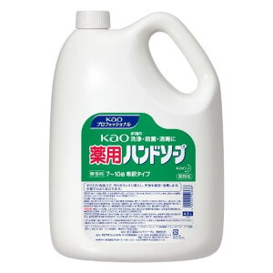y3zԉ pnh\[v Ɩp Zk^Cv in j 􂢐΂t@4.5L×3
