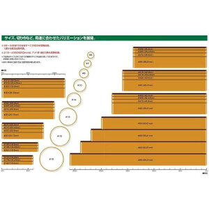 y500gzփS X}CohiAF) 16TCY Ɩp Soh oh 500g@1
