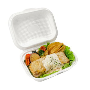 【30枚】DLVボーノ19-15 白 エフピコ 使い捨て 容器 業務用 お惣菜 PSP ごはん ランチ 弁当容器 30枚入