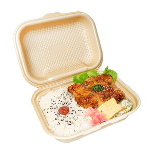 【30枚】DLVボーノ22-16MFP ベージュ エフピコ 使い捨て 容器 業務用 お惣菜 PSP ごはん ランチ 弁当容器 30枚入