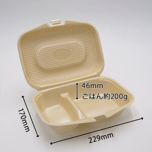 【240枚】DLVランチ23-17-1 ベージュ エフピコ 使い捨て 容器 業務用 お惣菜 PSP ごはん ランチ 弁当容器 240枚入 送料無料