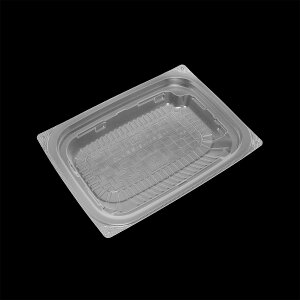 y50zDLVp19-14M-1  PPNT GtsR Ɩp ĝ ٓ i  ǂԂ e iM̂݁j50