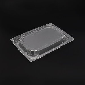 y600zT-DLVp19-14MƊW GtsR Ɩp ĝ ٓ i  ǂԂ e it^̂݁j600