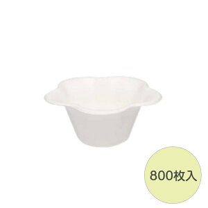 y800z ~jt[Jbv WEA[X X Ɩp e ĝ GR Hip  X g |eg t[ pv[h 