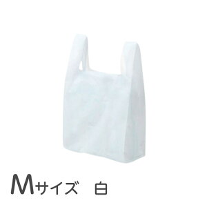 y6000z nbs[obO () M Ɩp ubNt W  rj[ | G{XH 񂰑  2000×3P[X 