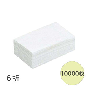 y10000z6܃itL Xg[g Ɩp ĝ y[p[ivL itL HX  