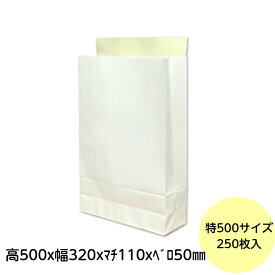 【250枚入り】 宅配袋 特大500サイズ 白無地 テープ付 梱包袋 250枚 梱包資材 フリマ アプリ オークション メール便 紙袋 メルカリ 【代引き不可】 1ケース 送料無料 ■