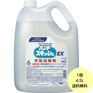 y1zԉ nhXLbV EX iwō܁j Ɩp 4.5L AR[  ŉt 4.5L×1 n著