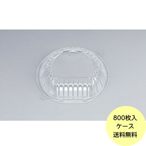 y800zCZvۘ16 W V[s[ {̂̂ ٓe eCNAEg Ԃ ĝ Ɩp e ٓ 50×16 
