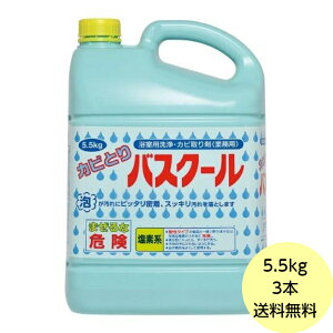 【3本】5.5kg・カビとりバスクール ニイタカ 風呂 湯垢汚れ カビ 洗浄 除菌 漂泊厨房 浴室 浴槽 カビ取り剤 洗剤 5.5kg×3本入 送料無料