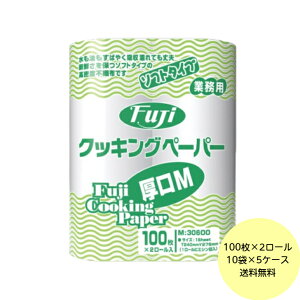 y10܁E5P[XztW NbLOy[p[M i100Jbg×2[j×10×5P[X Ɩp Lb`y[p[ij P[X 