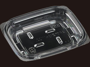 y50zAPy13-11i17jV { GR GtsR ĝ Ɩp y ٓ Е e yؗe i{̂̂݁j 50