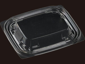 y50zT-APy13-11OWiVjGR GtsR ĝ Ɩp y ٓ Е e yؗe it^̂݁j 50