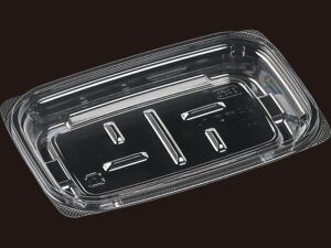 y50zAPy17-11i17jV { GR GtsR ĝ Ɩp y ٓ Е e yؗe i{̂̂݁j 50