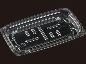 y50zAPy18-11i17jV { GR GtsR ĝ Ɩp y ٓ Е e yؗe i{̂̂݁j 50