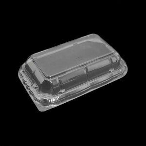 y50zT-zbgLb`2 ƍWOPET GtsR ĝ Ɩp ٓ g tC yؗe it^̂݁j 50