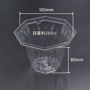 y50zAPpJbv-105 { GR GtsR ĝ Ɩp ʕ Jbgt[c T_ X e i{̂̂݁j 50