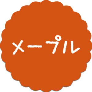 y300zSO-37 [v i20×20j v`x SMx َqp 킢 aَq mَq Mtg XC[c P[L Hip xV[@300