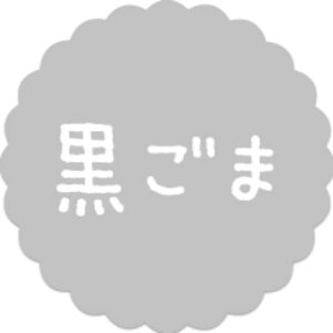 y300zSO-45  i20×20j v`x SMx َqp 킢 aَq mَq Mtg XC[c P[L Hip xV[@300