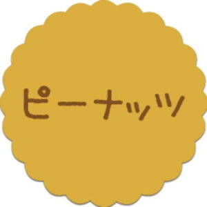 y300zSO-51 s[ibc i20×20j v`x SMx َqp 킢 aَq mَq Mtg XC[c P[L Hip xV[@300