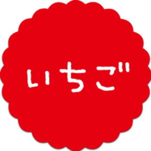 y300zSO-53  i20×20j v`x SMx َqp 킢 aَq mَq Mtg XC[c P[L Hip xV[@300