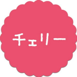 y300zSO-58 `F[ i20×20j v`x SMx َqp 킢 aَq mَq Mtg XC[c P[L Hip xV[@300