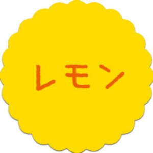 y300zSO-63  i20×20j v`x SMx َqp 킢 aَq mَq Mtg XC[c P[L Hip xV[@300