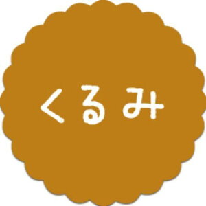 y300zSO-64  i20×20j v`x SMx َqp 킢 aَq mَq Mtg XC[c P[L Hip xV[@300