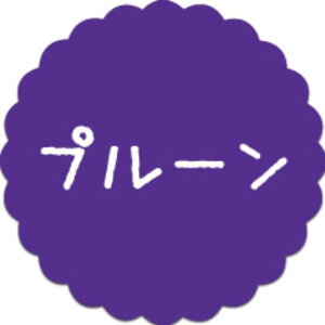 y300zSO-73 v[ i20×20j v`x SMx َqp 킢 aَq mَq Mtg XC[c P[L Hip xV[@300