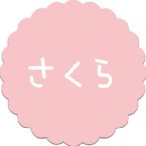 y300zSO-77  i20×20j v`x SMx َqp 킢 aَq mَq Mtg XC[c P[L Hip xV[@300