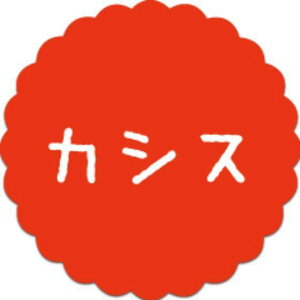 y300zSO-79 JVX i20×20j v`x SMx َqp 킢 aَq mَq Mtg XC[c P[L Hip xV[@300