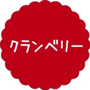 y300zSO-82 Nx[ i20×20j v`x SMx َqp 킢 aَq mَq Mtg XC[c P[L Hip xV[@300