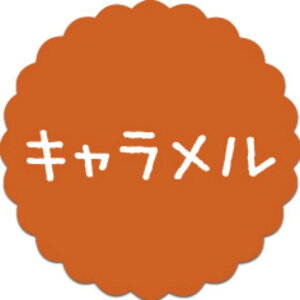 y300zSO-84 L i20×20j v`x SMx َqp 킢 aَq mَq Mtg XC[c P[L Hip xV[@300