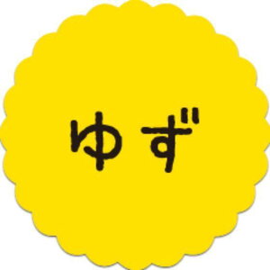 y300zSO-95 䂸 i20×20j v`x SMx َqp 킢 aَq mَq Mtg XC[c P[L Hip xV[@300