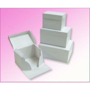 �y����� �l��s�z�y200�z�m�َq �T�[�r�X�� �����n 180×240×H110 �i������j FN�� C-01-10FN �P�[�L���@200����