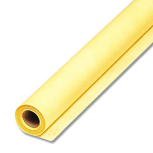 HEIKO t[bv 9  65cm×20m