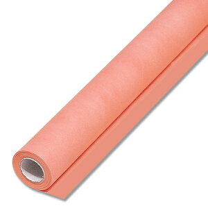 HEIKO t[bv 17 T[sN 65cm×20m