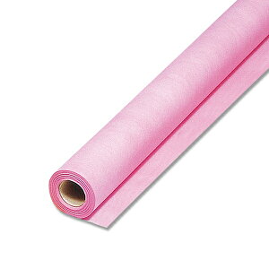 HEIKO t[bv 16 sN 65cm×20m