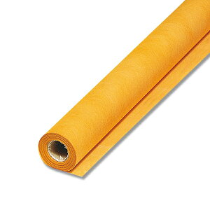 HEIKO t[bv 12 JV 65cm×20m