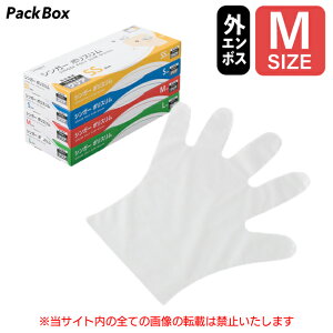 yP[X̔zVK[ |X OG{X  M 6000(100×60)  Hiq@K ĝ |G` |O[u NA   HiH |  Fs{ 