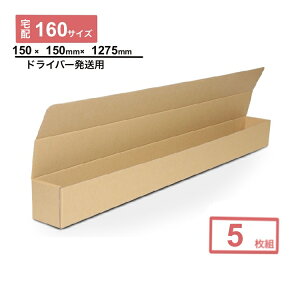 _{[ StNu  @hCo[@5 St Nu _{[ 160TCY i{[ _{[ i{[     z 160TCY@zו@